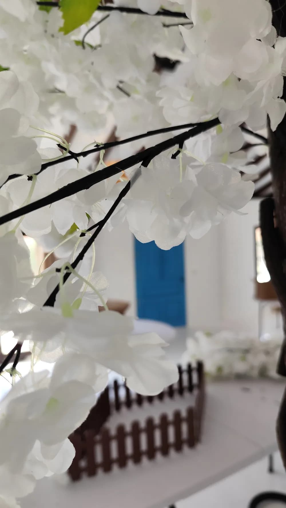 White blossoms beside a blue Dragonfly door