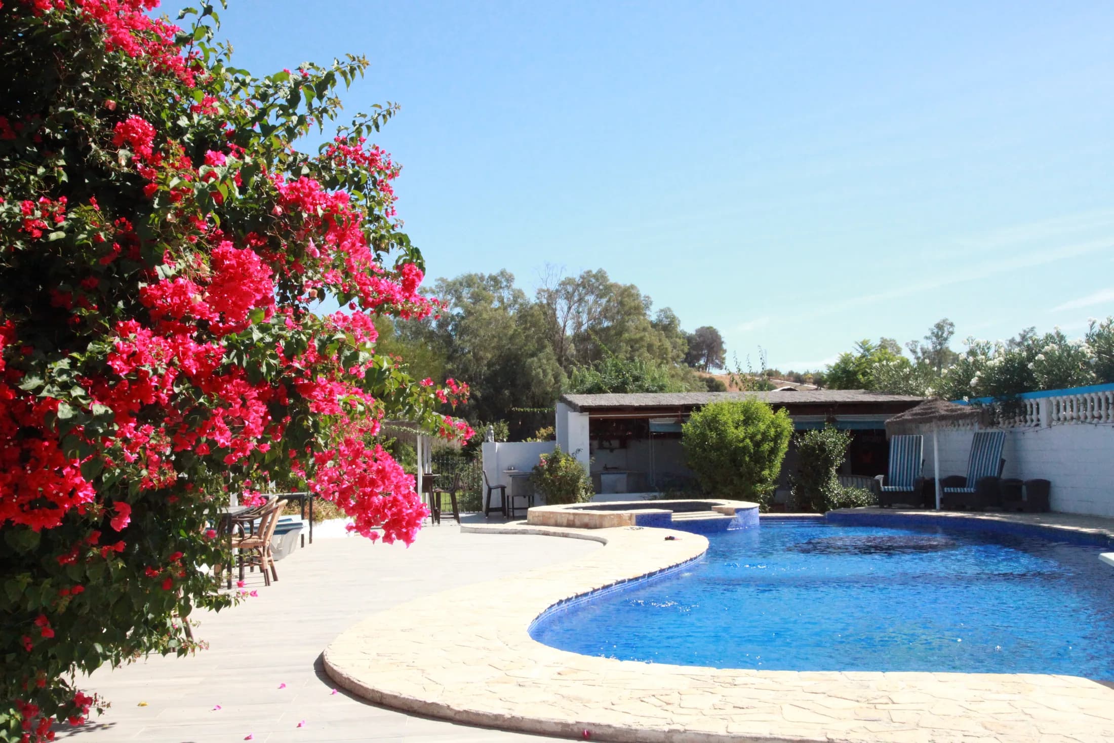 Bougainvillea framing the Dragonfly pool beneath an Andalusian sky