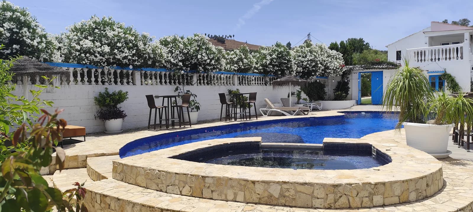 Dragonfly pool courtyard with whitewashed walls and blue doors