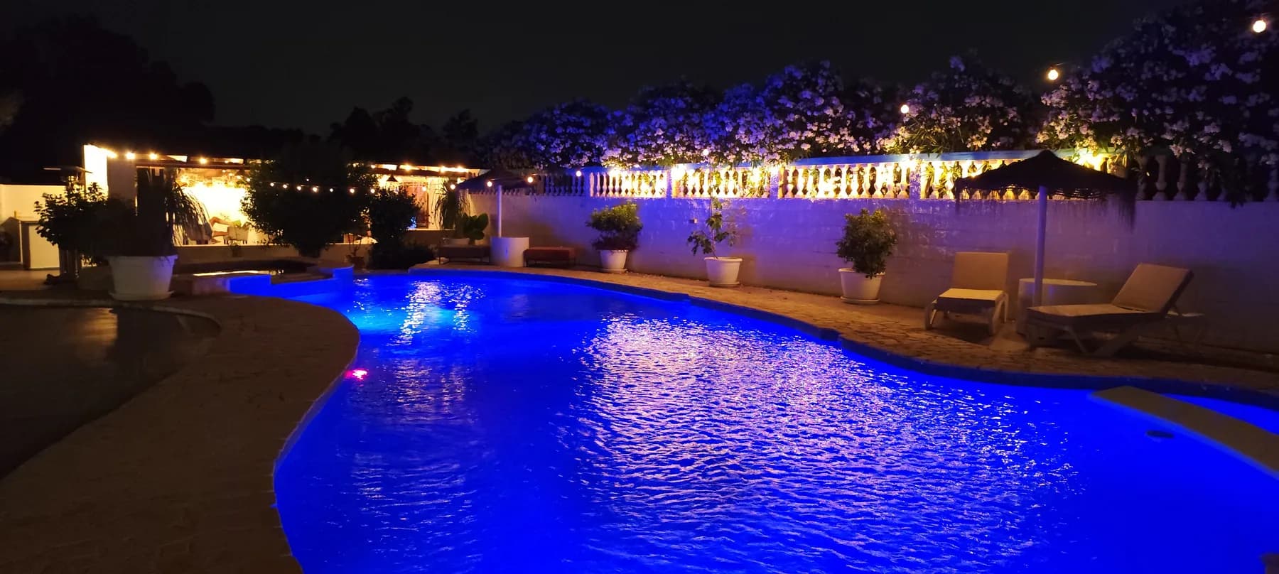 The Dragonfly pool illuminated after dusk