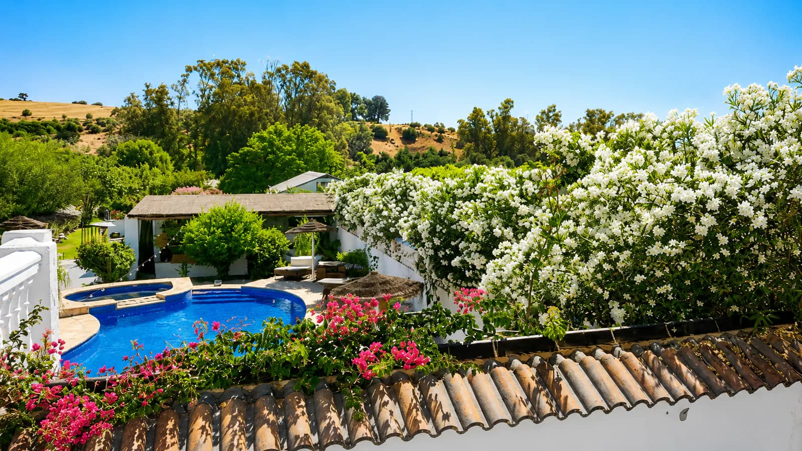 White Dragonfly Retreat building with blue doors and bougainvillea in the Andalusian sun